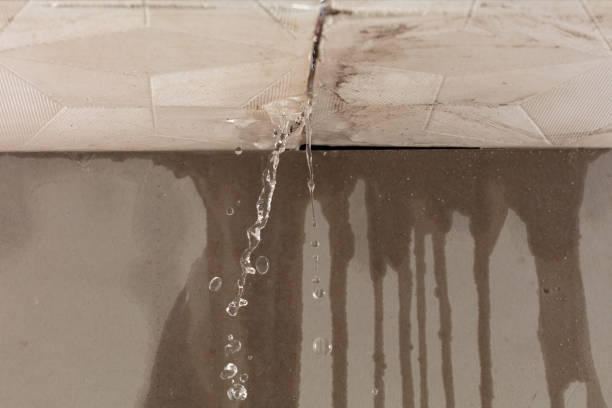 Professional Burst Pipe Cleanup technician working in Amboy, IL